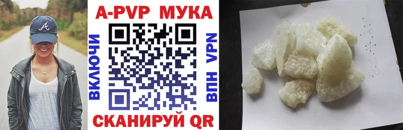 Alpha PVP СК КРИС  OMG вход  Энем 