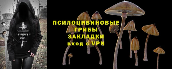 амф Балахна