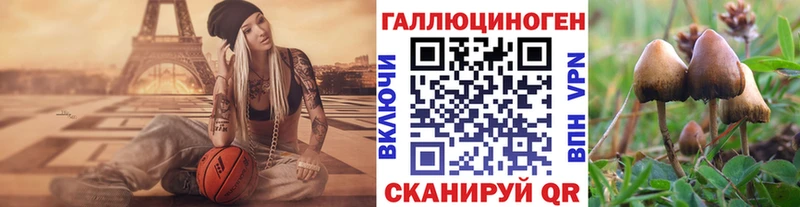 наркота  Энем  Галлюциногенные грибы прущие грибы 