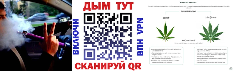 Каннабис конопля  Энем 
